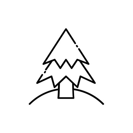 Spruce