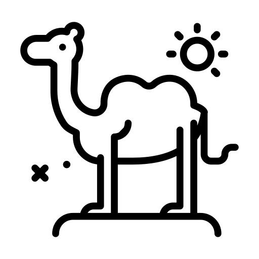 Camel