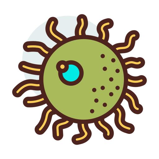 Bacteria