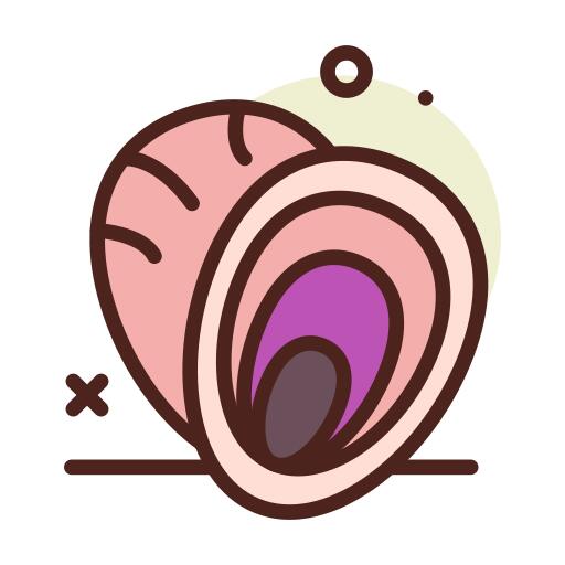 蛤