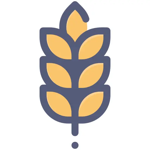 小麦