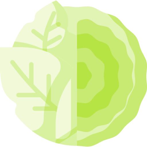 卷心菜