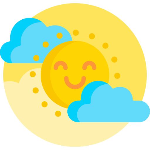 Sunny