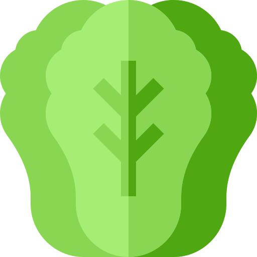 Lettuce