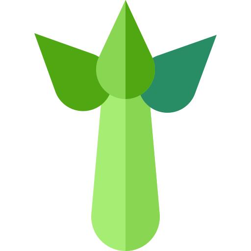 芹菜