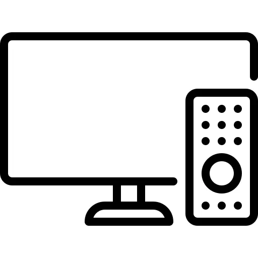 Television