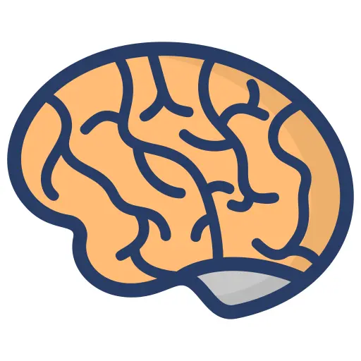 脑
