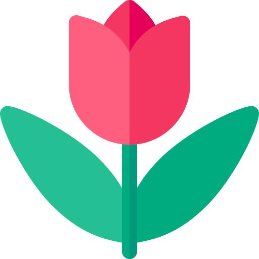 Tulip