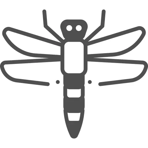 Dragon fly