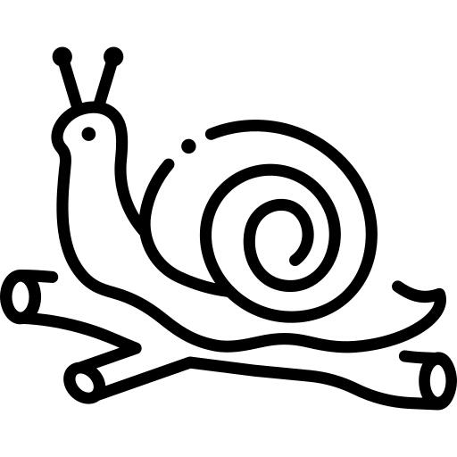 Snail