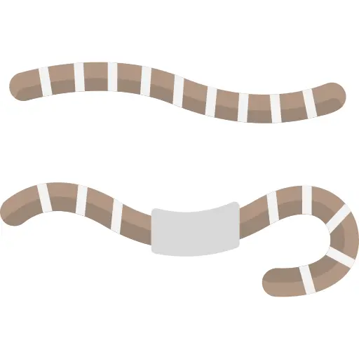 Earthworm