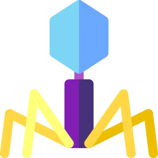 Virus