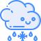 Sleet