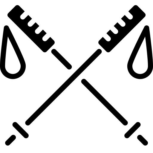 Ski