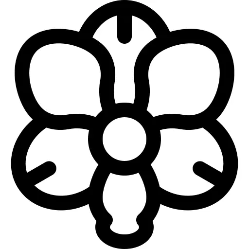 Orchid