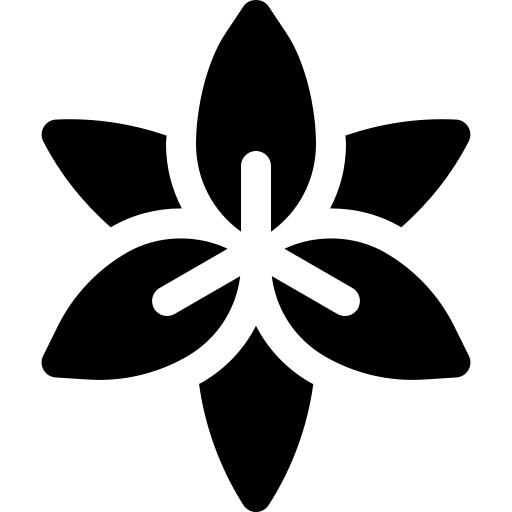 孤挺花