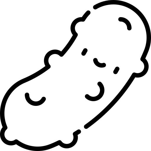 Cucumber