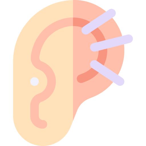 耳
