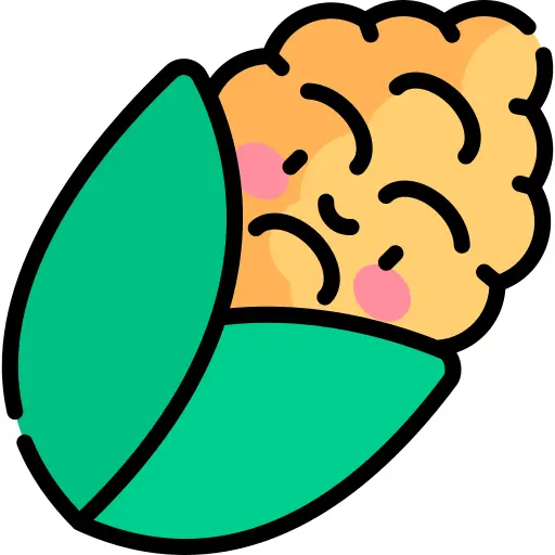 玉米