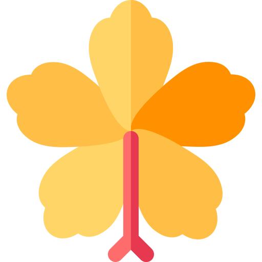 芙蓉花