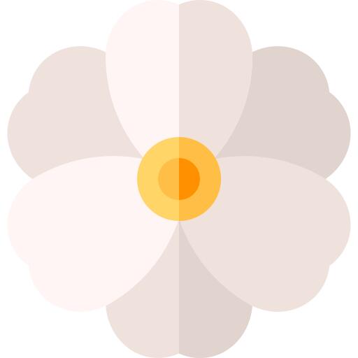 木兰