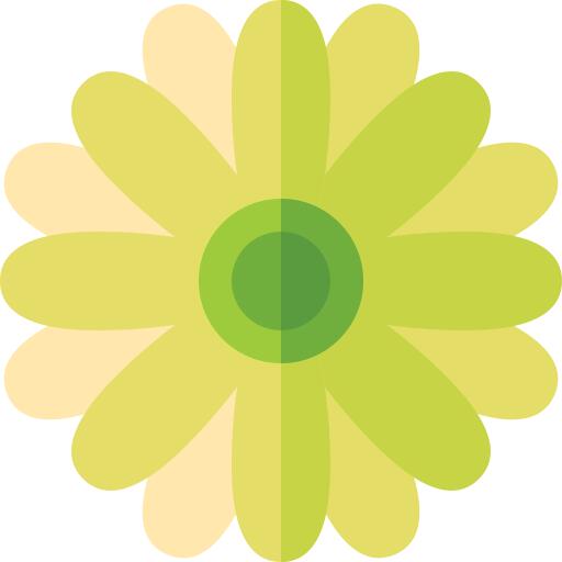 Chrysanthemum
