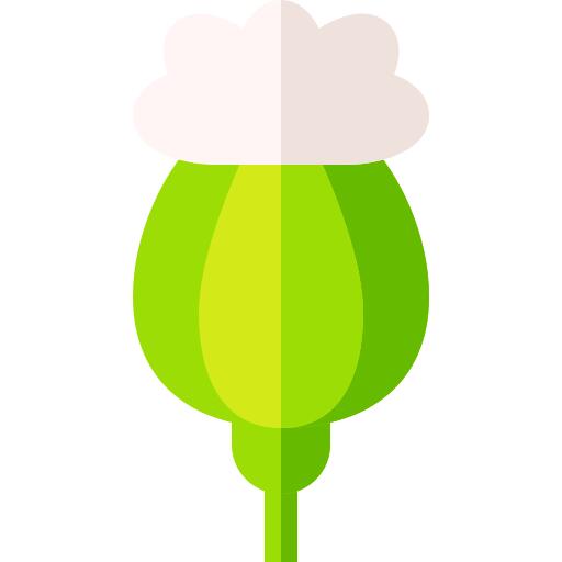 Opium