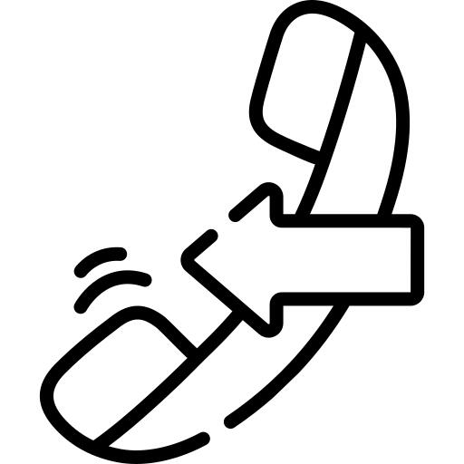 传入