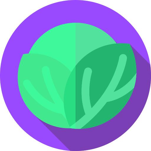 Cabbage