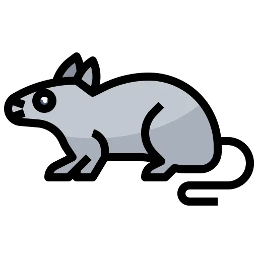 Pets