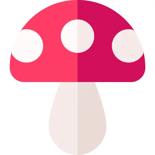 蘑菇