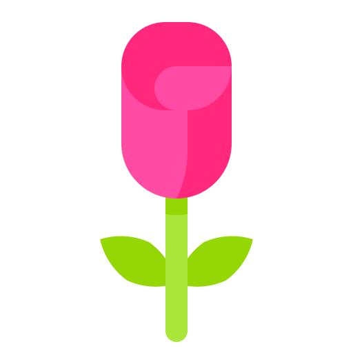 玫瑰花