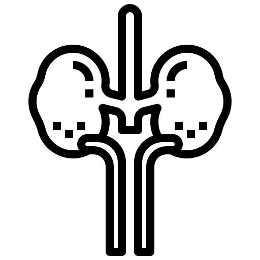 Kidney