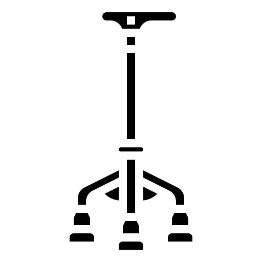 Walking stick