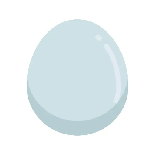Egg