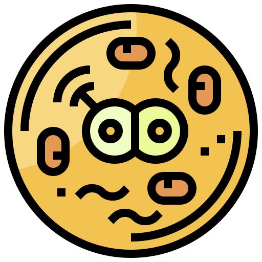 细胞