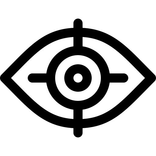 Vision