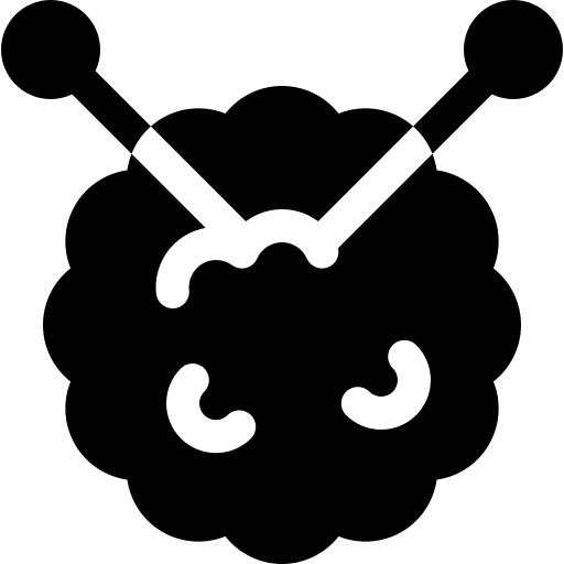 Wool