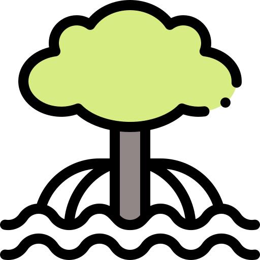 Mangrove