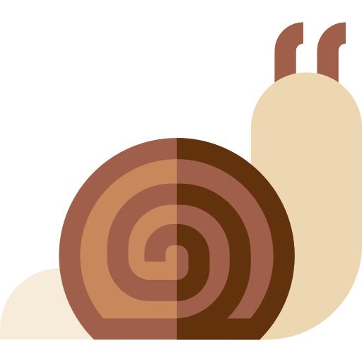 Snail