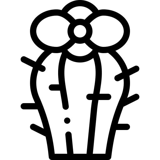 仙人掌