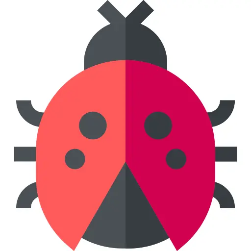 Ladybug