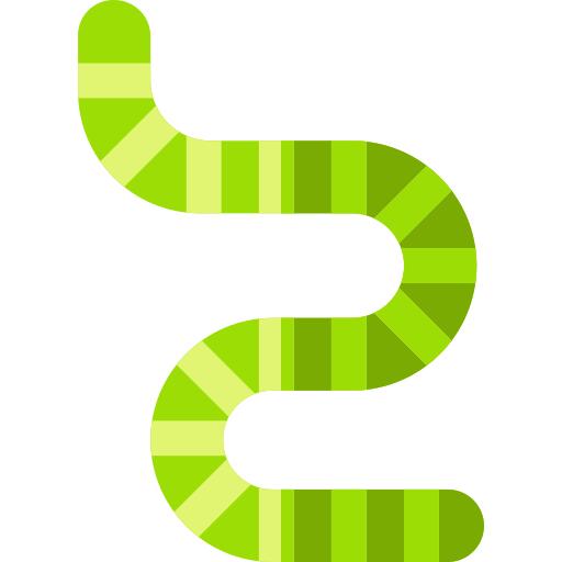 Worm