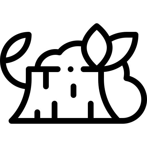 Log