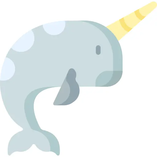 Narwhal