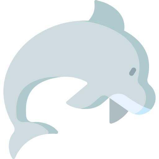 海豚