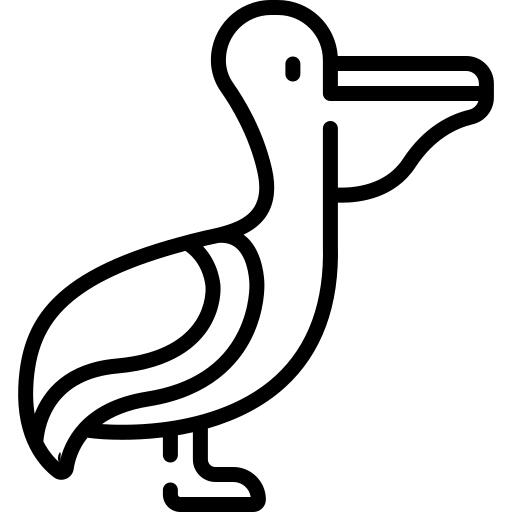 鹈