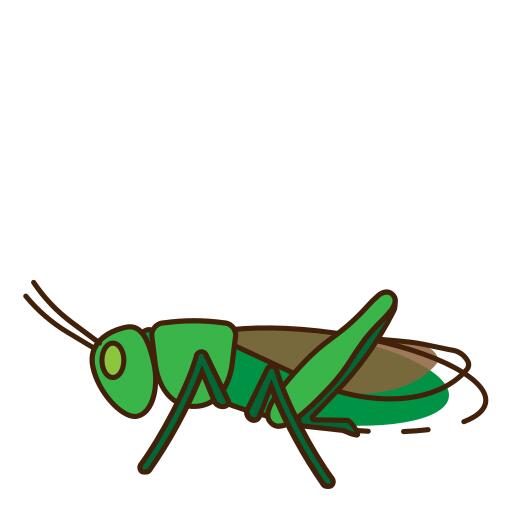蚱蜢