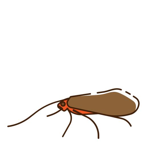 Bugs