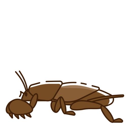 Bug